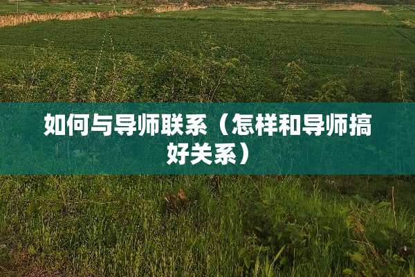 如何与导师联系（怎样和导师搞好关系）