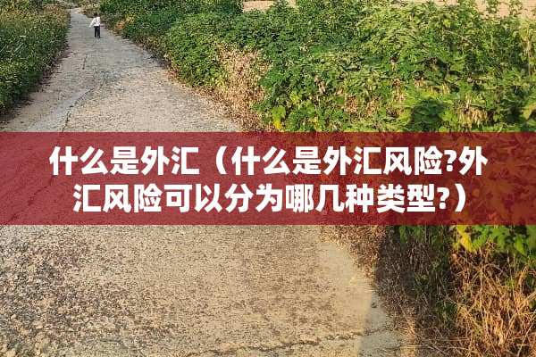 什么是外汇（什么是外汇风险?外汇风险可以分为哪几种类型?）