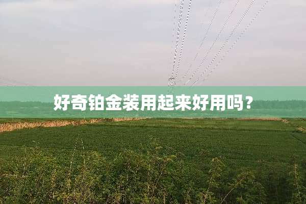 好奇铂金装用起来好用吗？