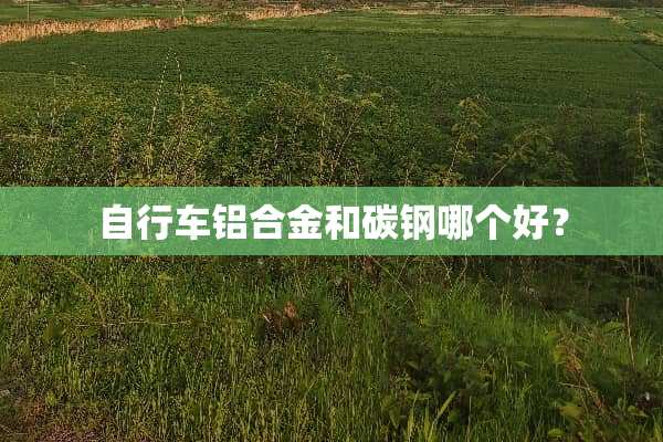自行车铝合金和碳钢哪个好？