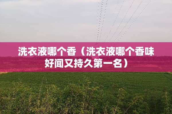 洗衣液哪个香（洗衣液哪个香味好闻又持久第一名）
