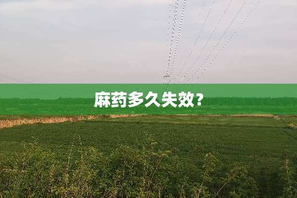 **多久失效？