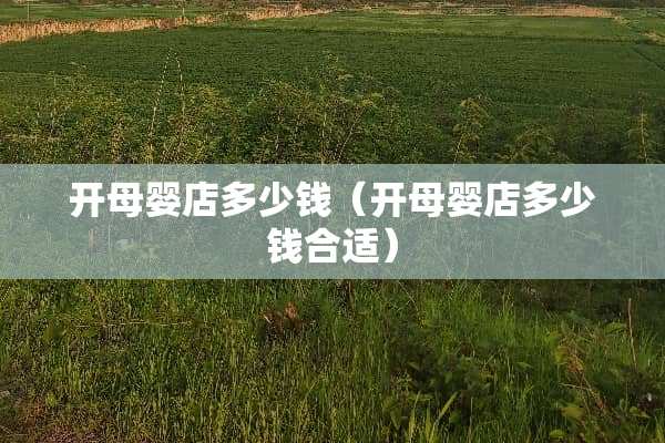 开母婴店多少钱（开母婴店多少钱合适）