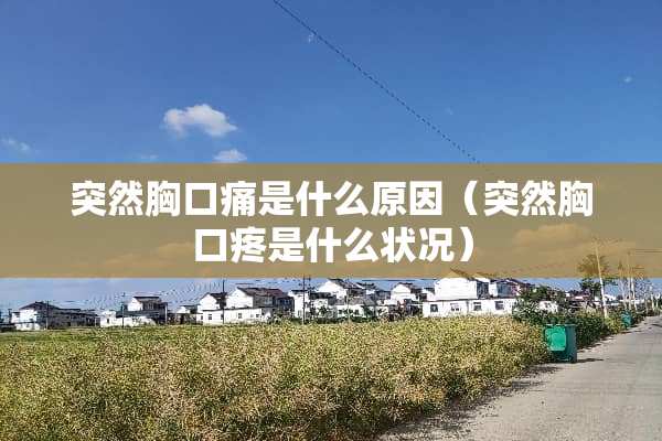 突然胸口痛是什么原因（突然胸口疼是什么状况）