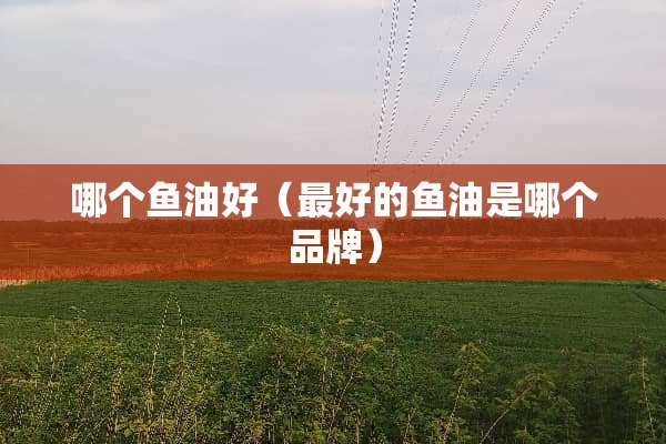 哪个鱼油好（最好的鱼油是哪个品牌）