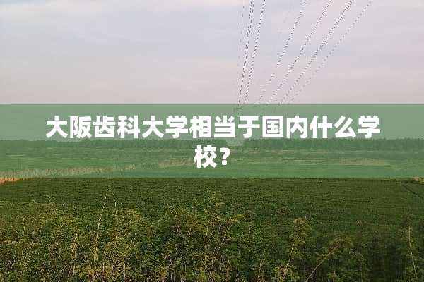 大阪齿科大学相当于国内什么学校？