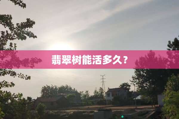 翡翠树能活多久？