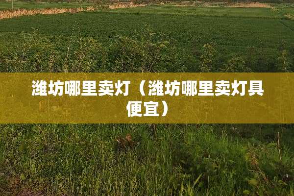 潍坊哪里卖灯（潍坊哪里卖灯具便宜）