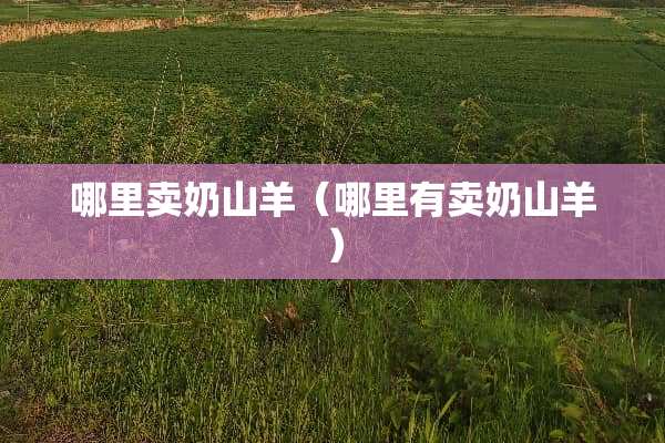 哪里卖奶山羊（哪里有卖奶山羊）