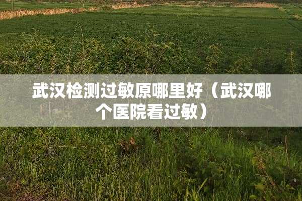 武汉检测过敏原哪里好（武汉哪个医院看过敏）