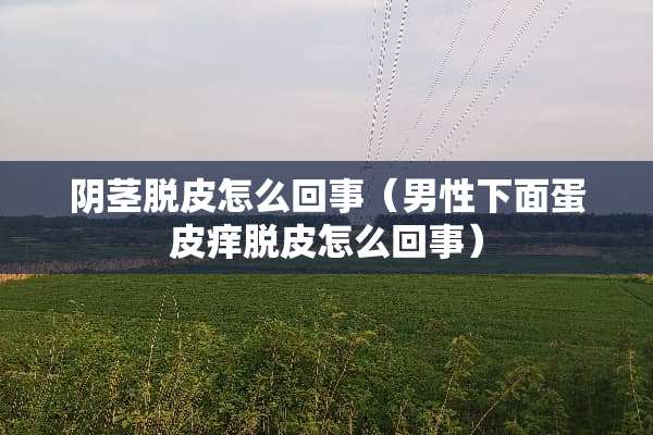 *茎脱皮怎么回事（男性下面蛋皮痒脱皮怎么回事）
