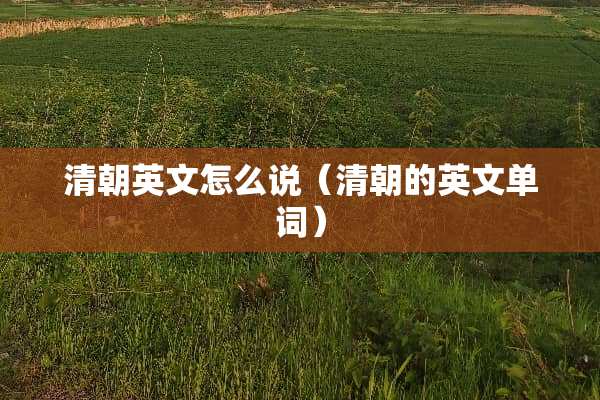 清朝英文怎么说（清朝的英文单词）