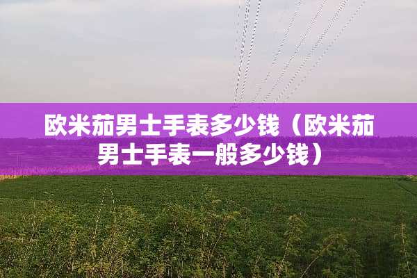 欧米茄男士手表多少钱（欧米茄男士手表一般多少钱）