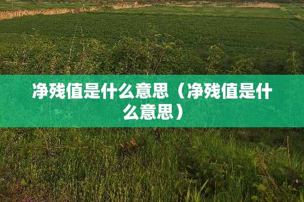 净残值是什么意思（净残值是什么意思）