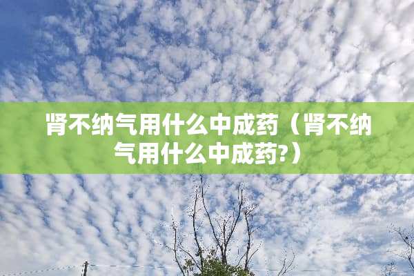 肾不纳气用什么中成药（肾不纳气用什么中成药?）