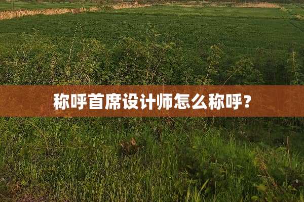 称呼首席设计师怎么称呼？
