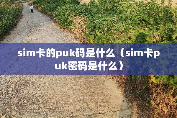 sim卡的puk码是什么（sim卡puk密码是什么）