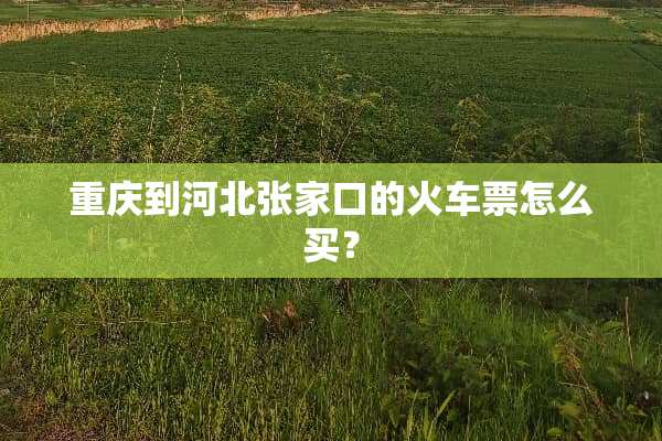 重庆到河北张家口的***怎么买？