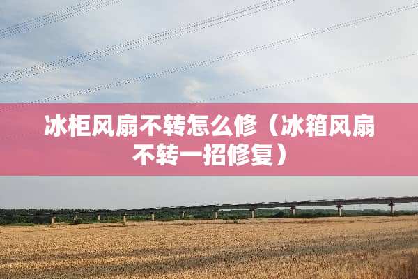 冰柜风扇不转怎么修（冰箱风扇不转一招修复）