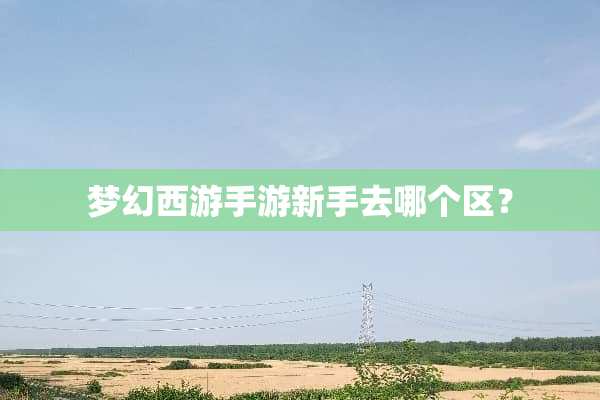 梦幻西游手游新手去哪个区？