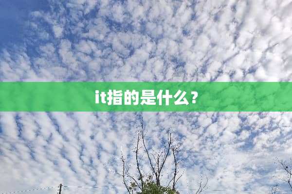 it指的是什么？