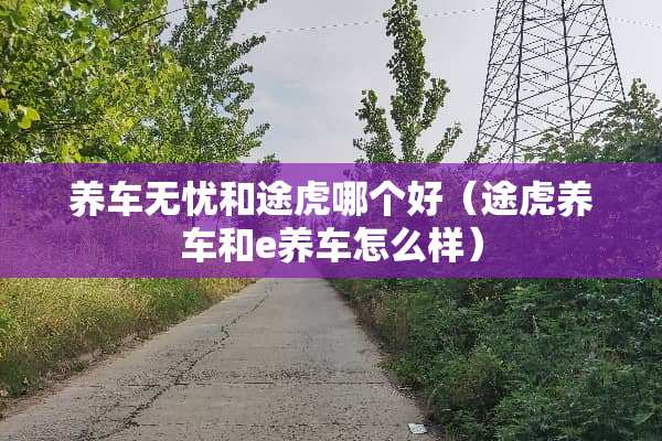 养车无忧和途虎哪个好（途虎养车和e养车怎么样）