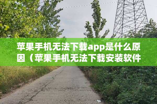 苹果手机无法下载app是什么原因（苹果手机无法下载安装软件怎么办）