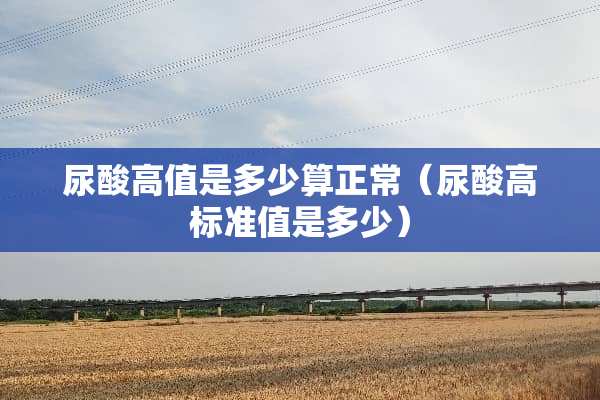 尿酸高值是多少算正常（尿酸高标准值是多少）