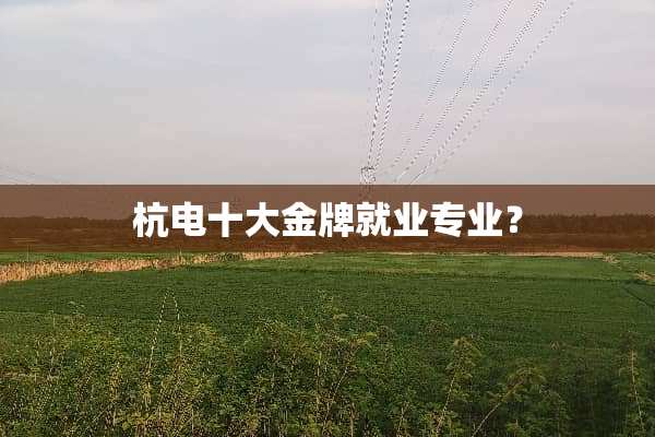 杭电十大金牌就业专业？