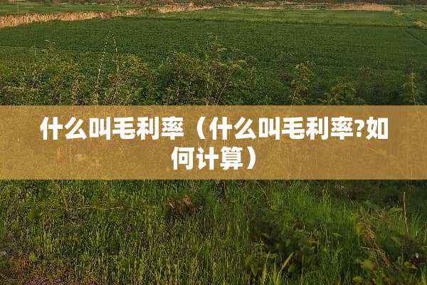 什么叫毛利率（什么叫毛利率?如何计算）