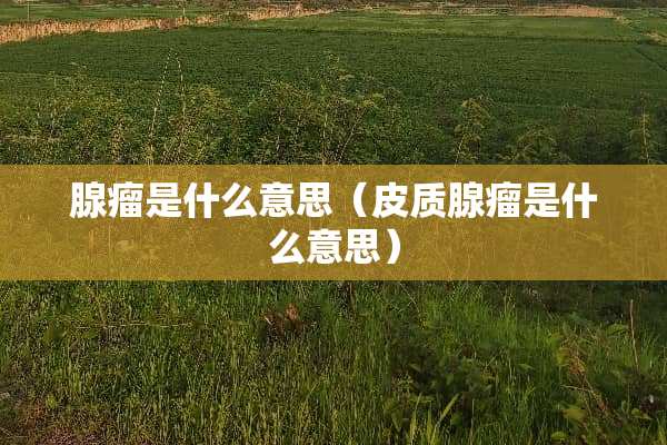腺瘤是什么意思（皮质腺瘤是什么意思）