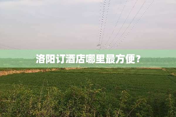 洛阳订酒店哪里最方便？