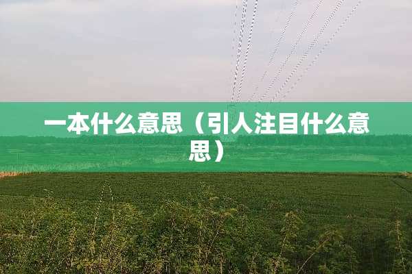 一本什么意思（引人注目什么意思）