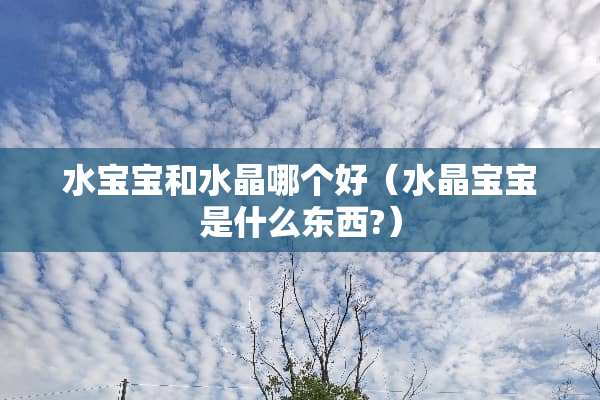 水宝宝和水晶哪个好（水晶宝宝是什么东西?）