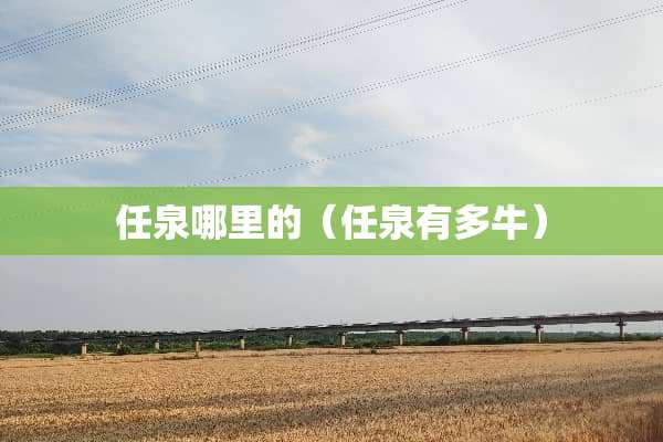 任泉哪里的（任泉有多牛）