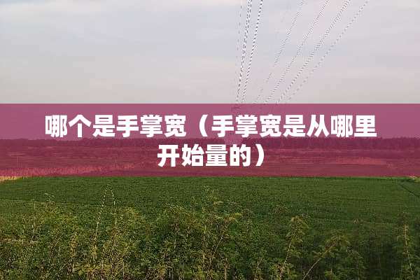 哪个是手掌宽（手掌宽是从哪里开始量的）