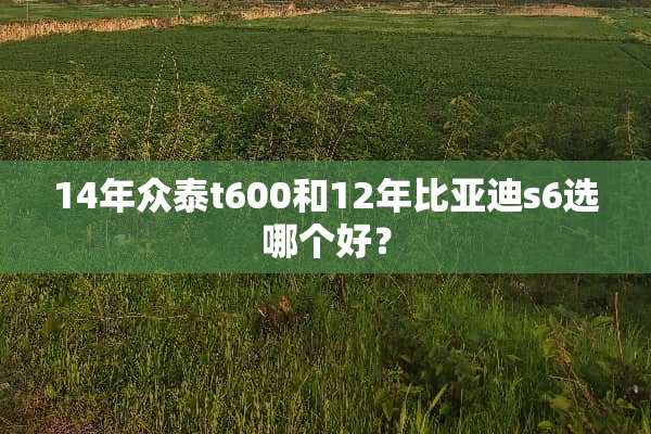 14年众泰t600和12年比亚迪s6选哪个好？