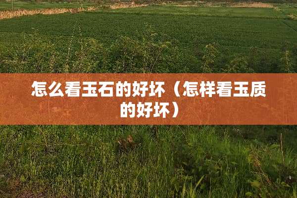 怎么看玉石的好坏（怎样看玉质的好坏）