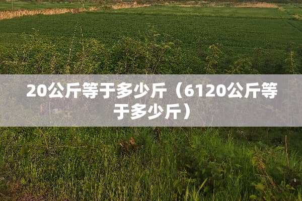 20公斤等于多少斤（6120公斤等于多少斤）