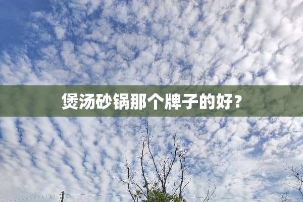 煲汤砂锅那个牌子的好？