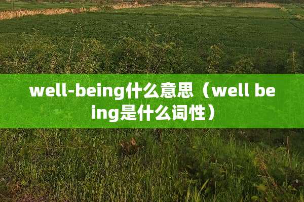 well-being什么意思（well being是什么词性）