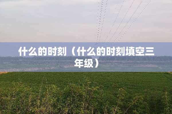 什么的时刻（什么的时刻填空三年级）