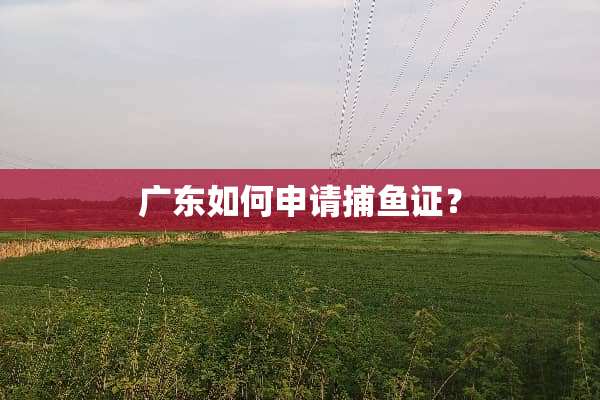广东如何申请捕鱼证？