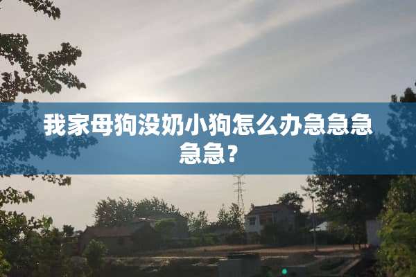 我家母狗没奶小狗怎么办急急急急急？