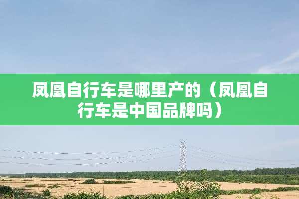 凤凰自行车是哪里产的（凤凰自行车是中国品牌吗）