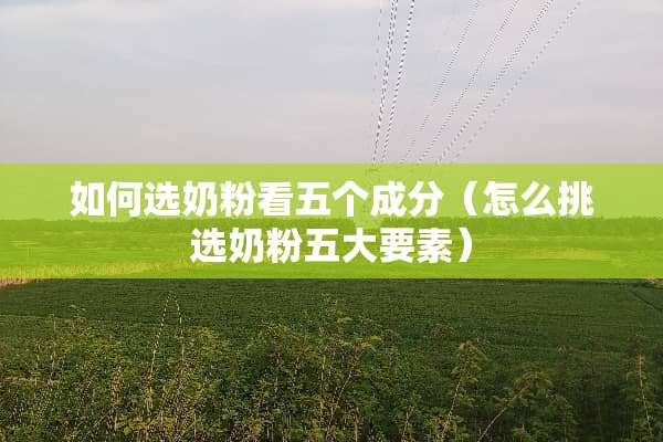 如何选奶粉看五个成分（怎么挑选奶粉五大要素）