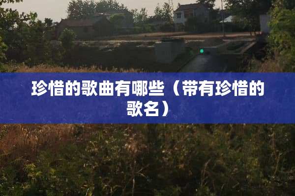 珍惜的歌曲有哪些（带有珍惜的歌名）