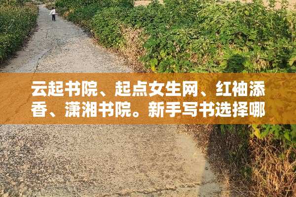云起书院、起点女生网、红袖添香、潇湘书院。新手写书选择哪个发布站点好一点？