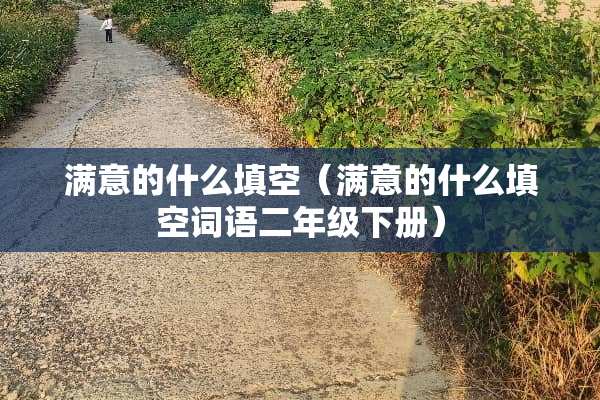 满意的什么填空（满意的什么填空词语二年级下册）