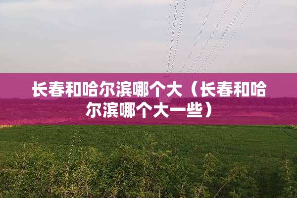 长春和哈尔滨哪个大（长春和哈尔滨哪个大一些）
